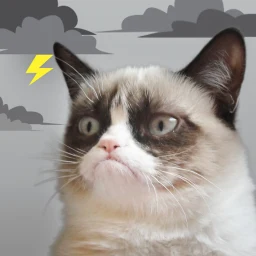 Symbol von Grumpy Cat Weather